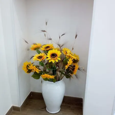 Casa Magnolia Casa vacanze